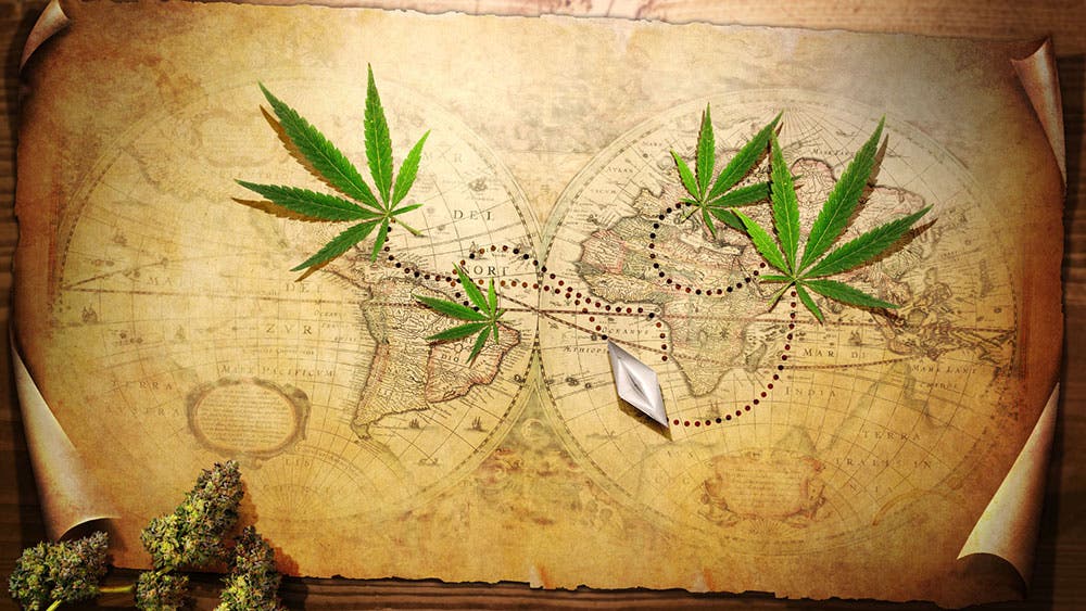 histoire du cannabis