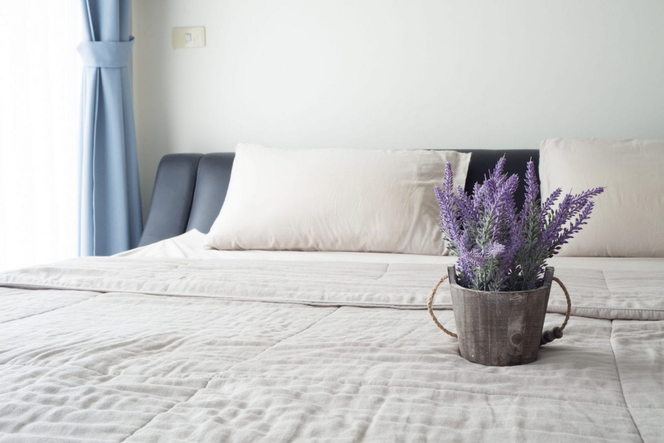 Un plant de lavande en pot, créant une atmosphère apaisante dans une chambre.
