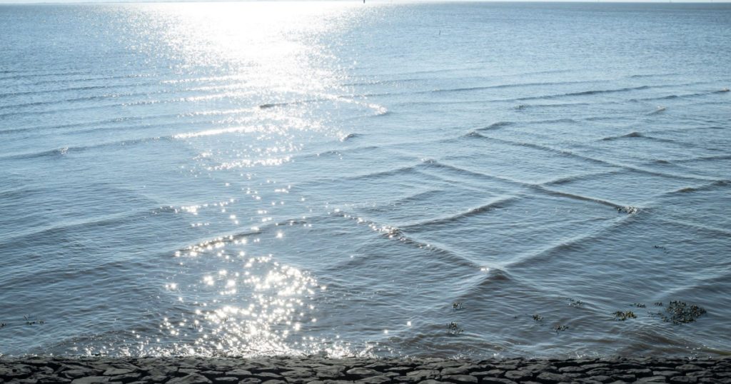 Vagues se croisant près d'une côte rocheuse