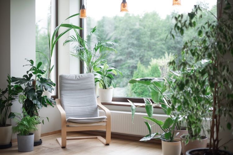 Détail de mains tenant délicatement une plante avec soin et bienveillance
