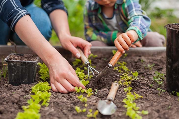 Jardiner dans le potager - source : spm