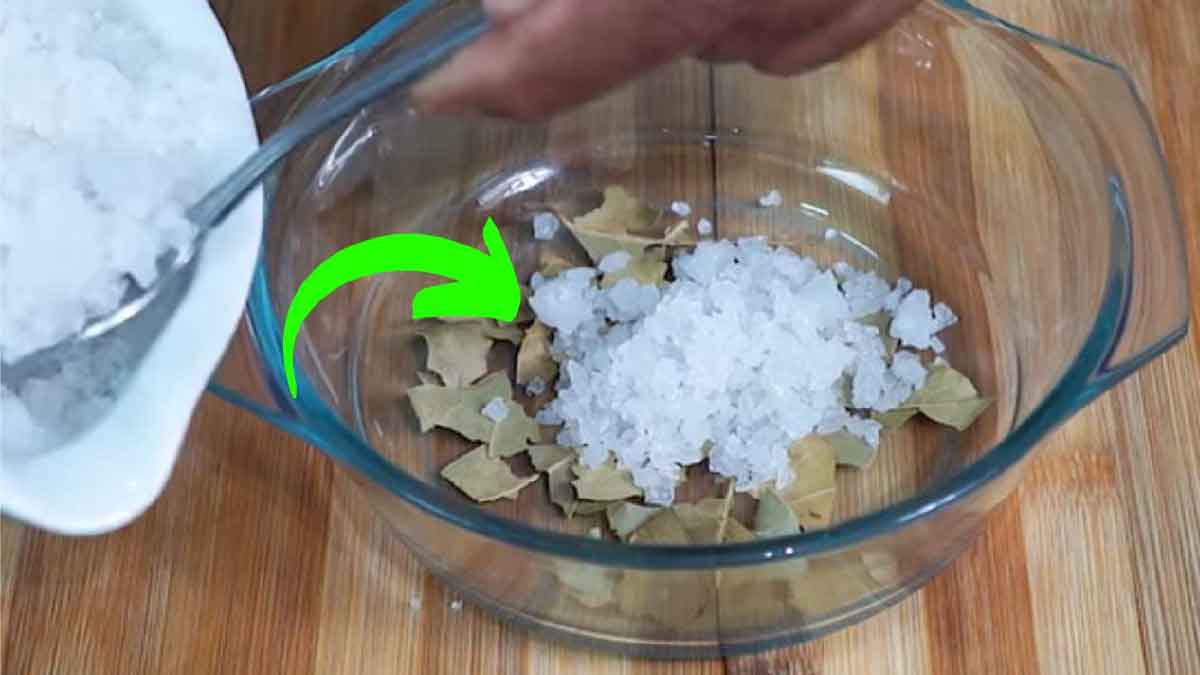 Feuilles de laurier et sel marin dans des récipients en verre sur une table en bois