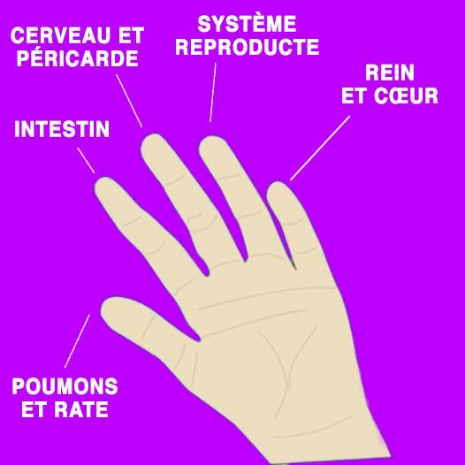 les-lunules-de-vos-ongles-peuvent-indiquer-ces-5-problemes-de-sante-1