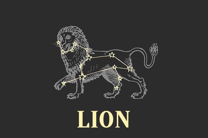 lion1