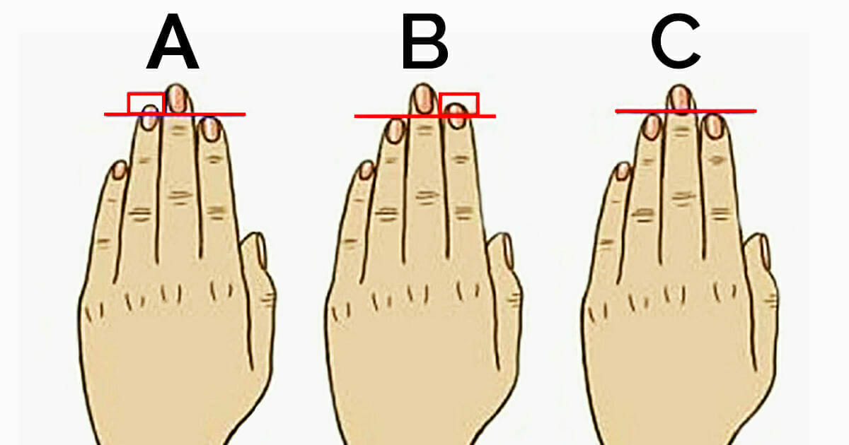 Main masculine montrant l'index et l'annulaire, l'index étant plus long