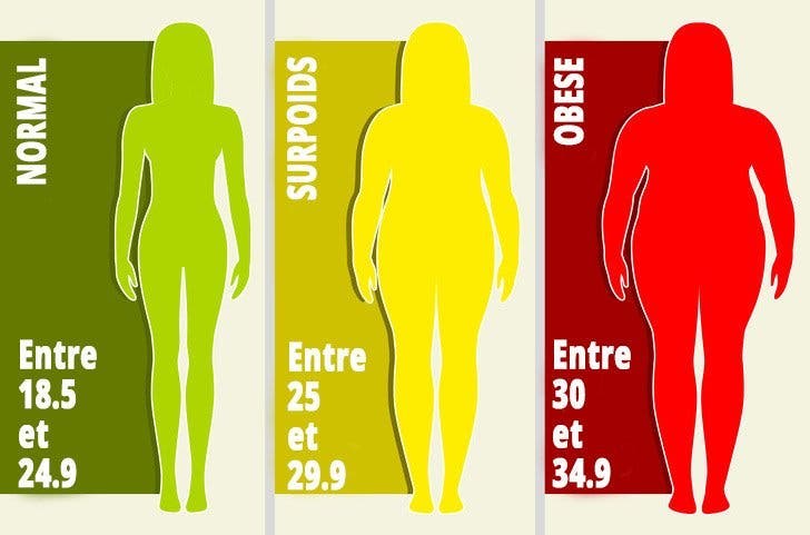 morphologie