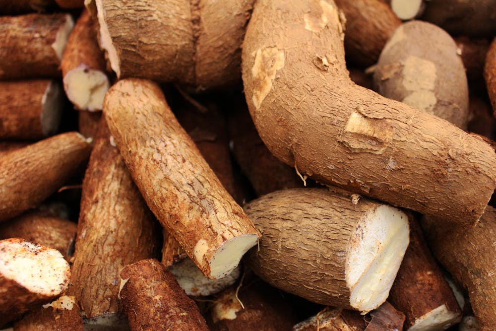Femme préparant du manioc dans une cuisine traditionnelle