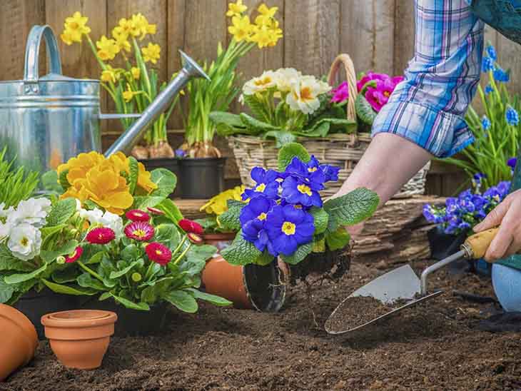 planter des fleurs