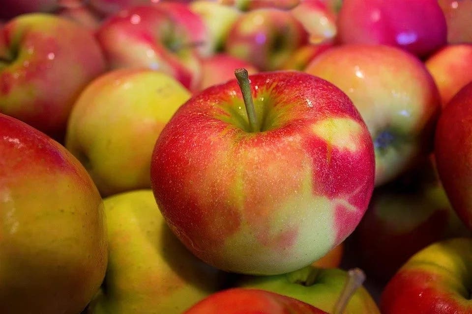 régime aux pommes