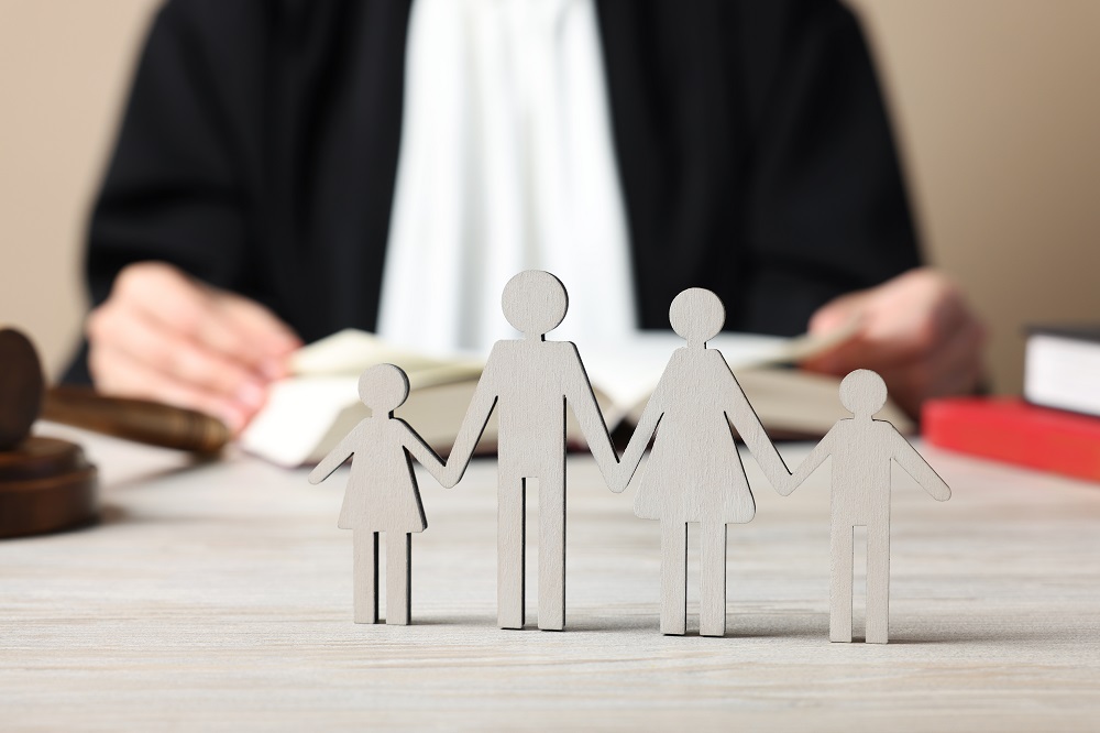 Représentation d'une consultation juridique ou d'une médiation familiale