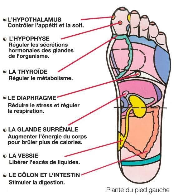 reflexologie-plantaire-a-faire-soi-meme-7-points-de-pression-qui-reduisent-le-stress-et-stimulent-le-metabolisme1