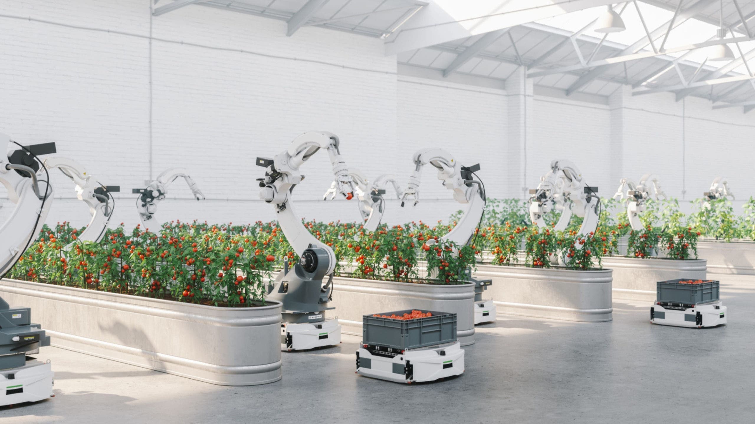 robot potager