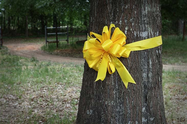 Un ruban jaune attaché 