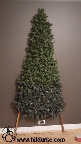 sapin9