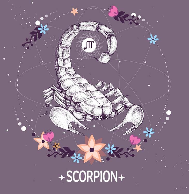 Scorpion 