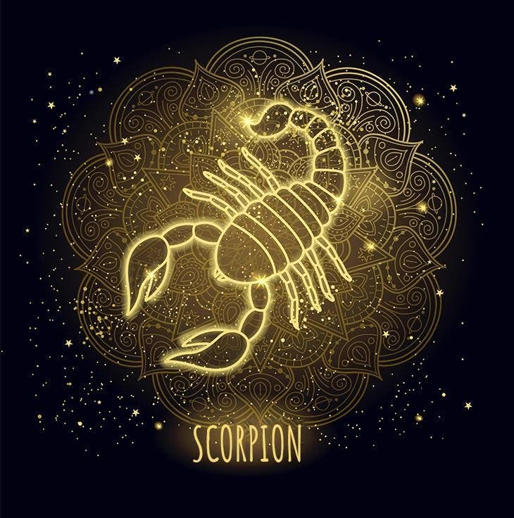 Scorpion