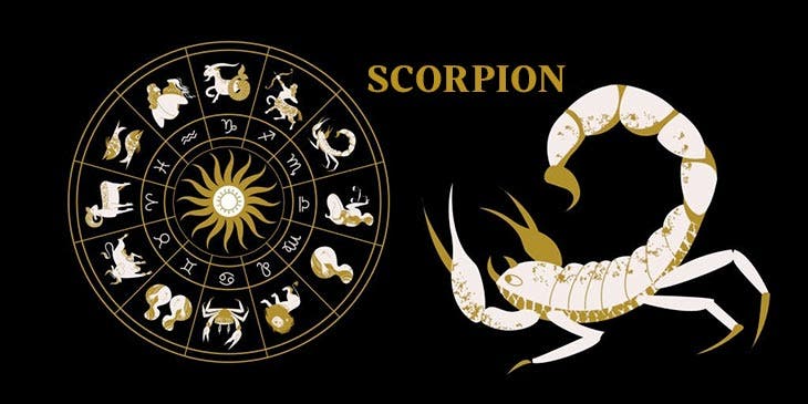 Scorpion