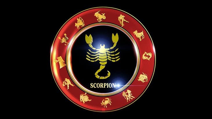 Scorpion 