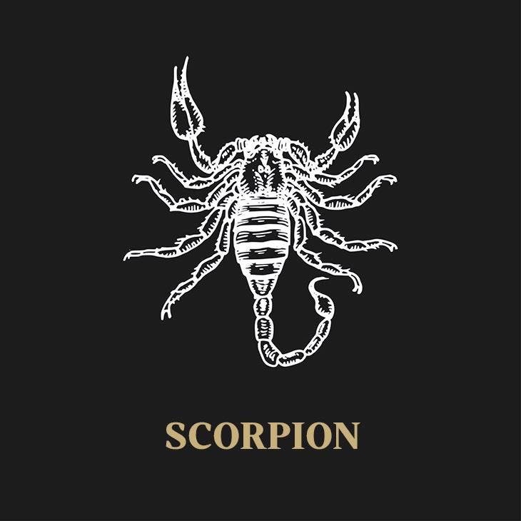 Signe du zodiaque scorpion