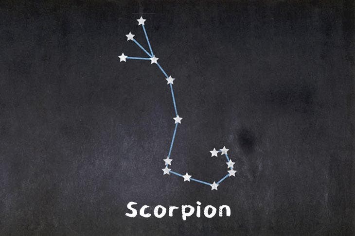 Scorpion